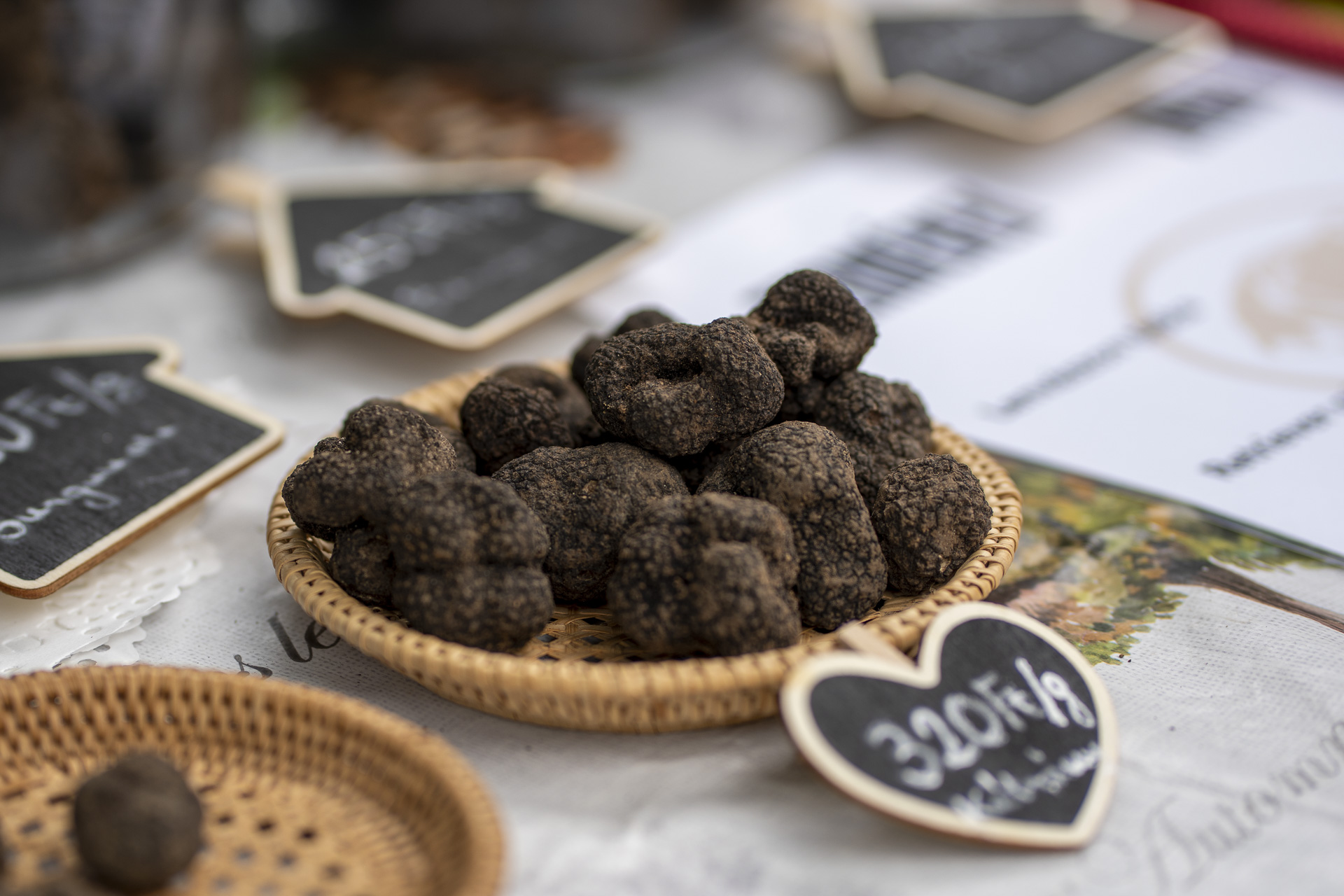 V. Alsópetényi Szarvasgomba és Lagotto Fesztivál